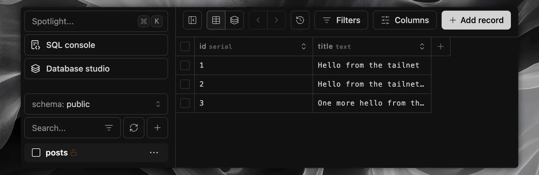 通过 tailnet 访问的 Drizzle Studio，其中打开了 posts 表