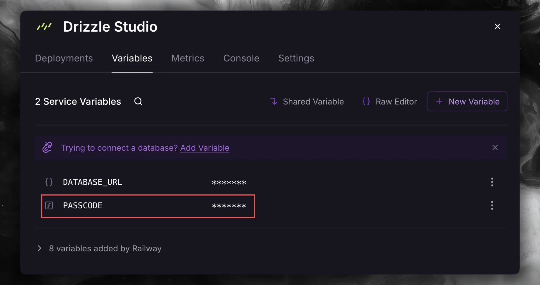 Drizzle Studio Variables 选项卡中标出的 PASSCODE