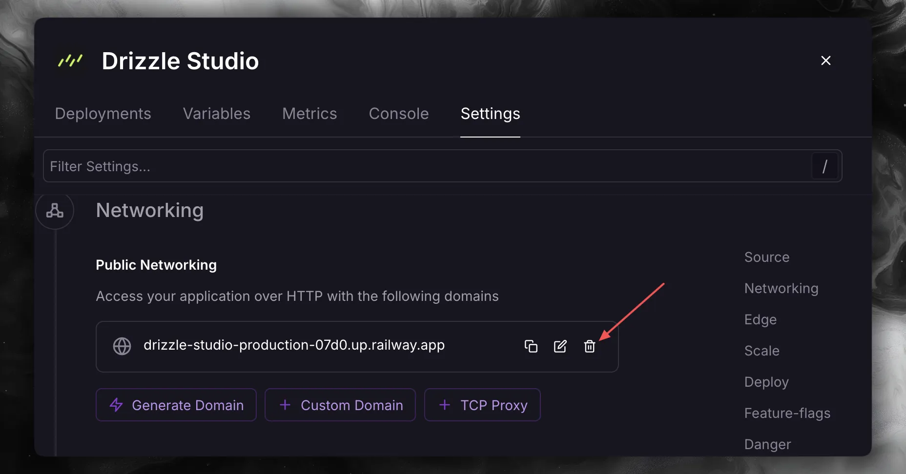 Drizzle Studio Settings 选项卡中标出的公共域名删除按钮