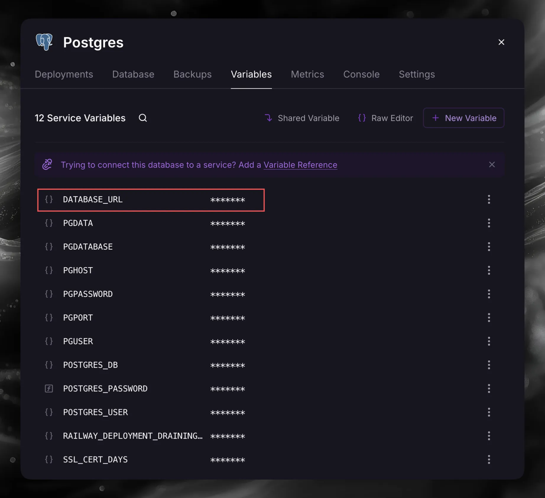 Postgres Variables 选项卡中标出的 DATABASE_URL
