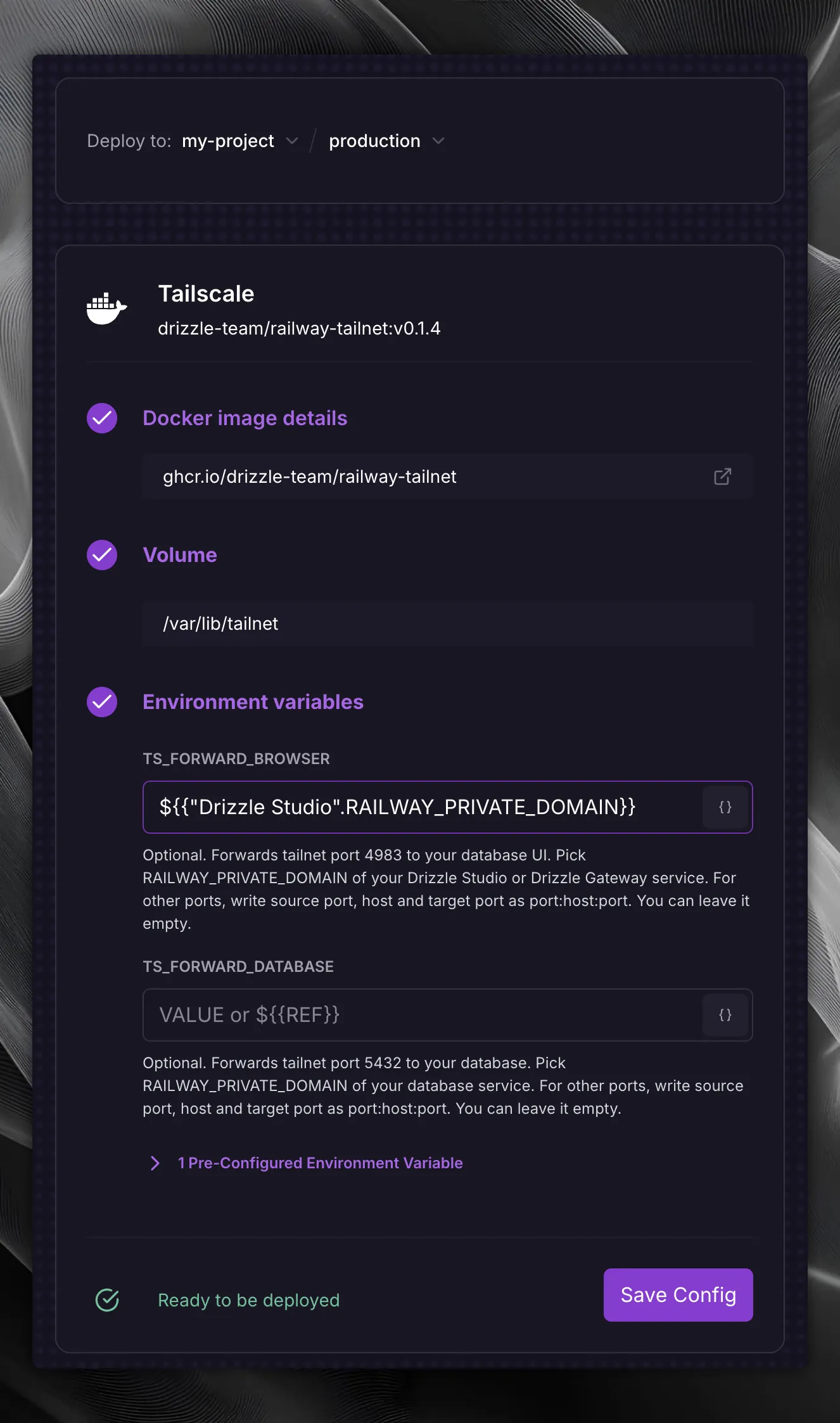 Tailscale for Drizzle 部署表单中，TS_FORWARD_BROWSER 已设置为引用 Drizzle Studio 服务